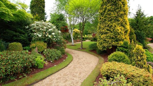 Green Planet Tree Service