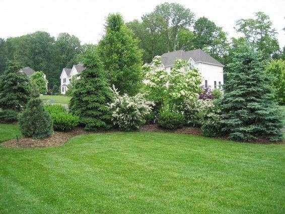 Green Planet Tree Service