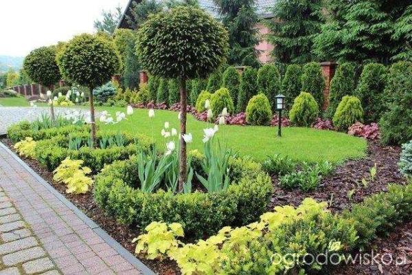 Green Planet Tree Service