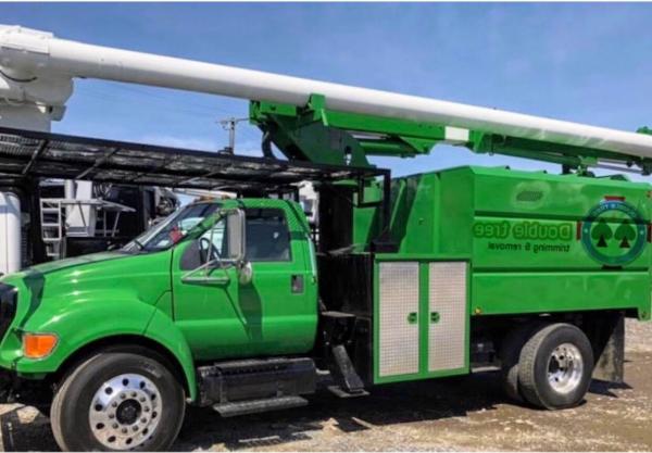 Double Tree Trimming & Removal Services