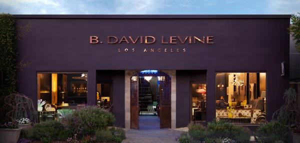 B. David Levine