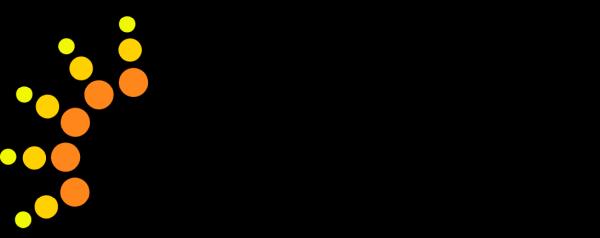 Black Platinum Solar & Electric