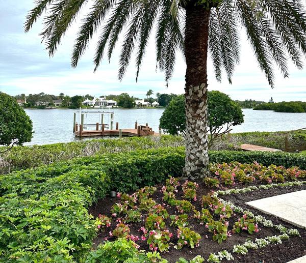 Caribbean Lawn and Landscape