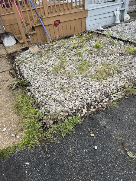 Arte Lawncare