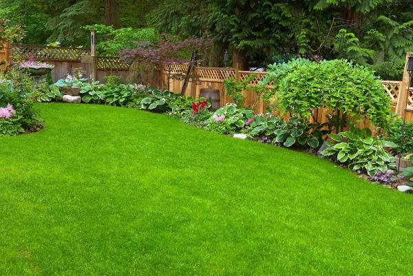 Pristine Plant Healthcare