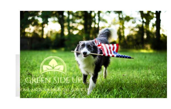 Green Side Up