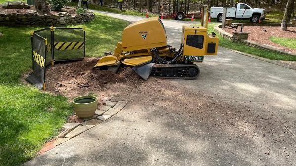 Grizzly Stump Grinding Co.