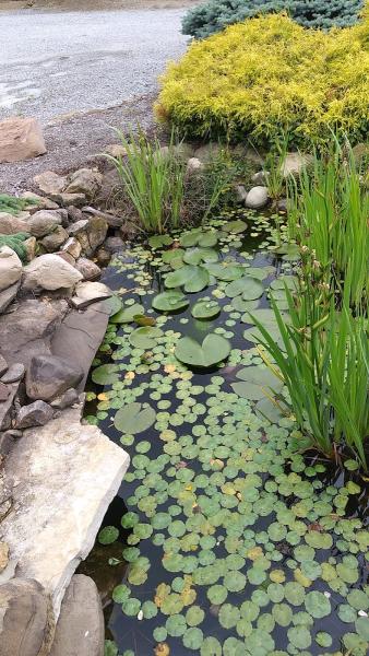 Tabor's Landscaping & Garden Center