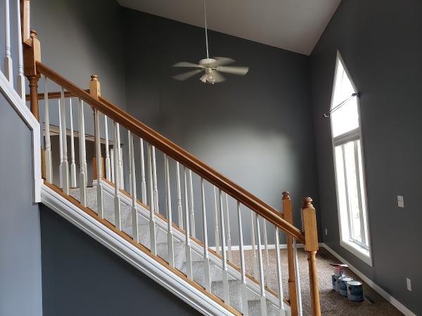 Pro Painters Plus Llc