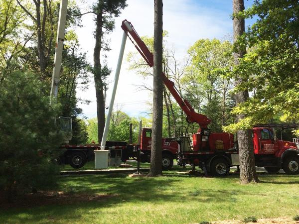 Bristol's Tree & Lawn Services