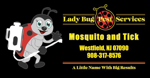 Lady Bug Pest Services