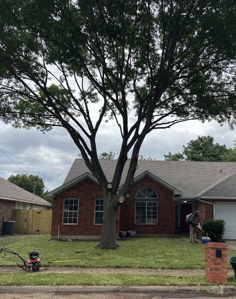 Cutting Edge Tree Service
