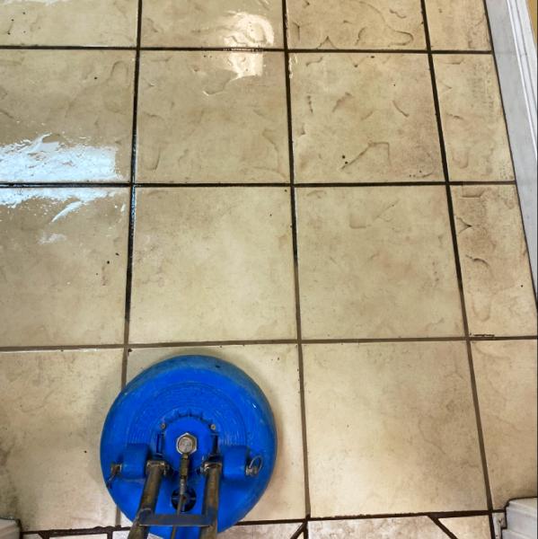 Essential Element Carpet Cleaning