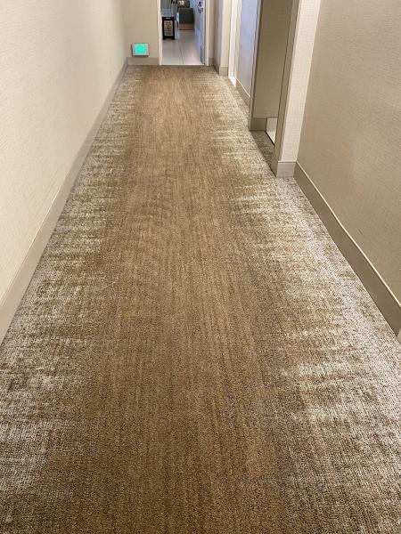 Essential Element Carpet Cleaning