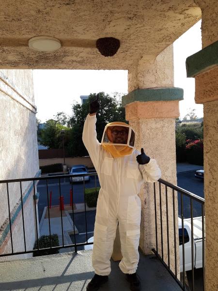 Outstanding Pest Solutions