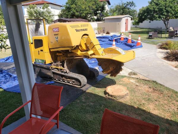 Monster Tree Service
