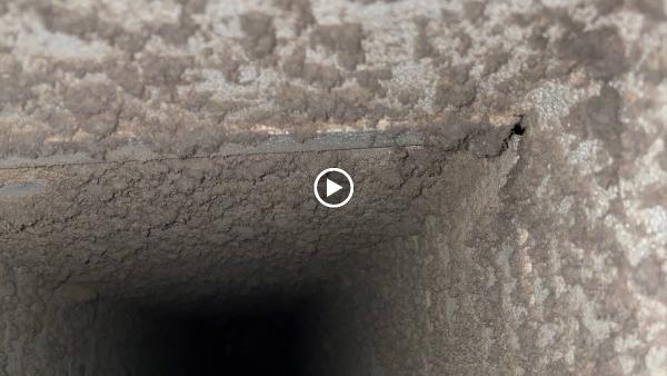 Proclean Air Duct & Carpet Cleaning