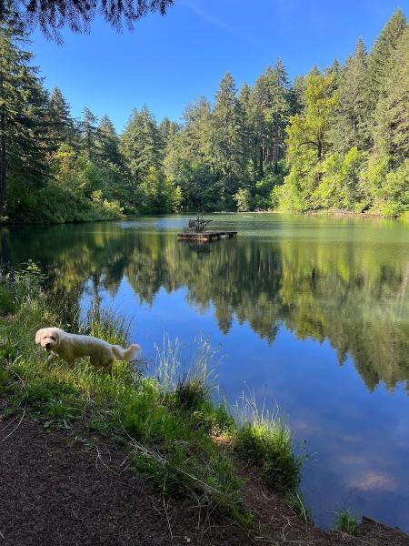 Dore (Discover Oregon Real Estate)