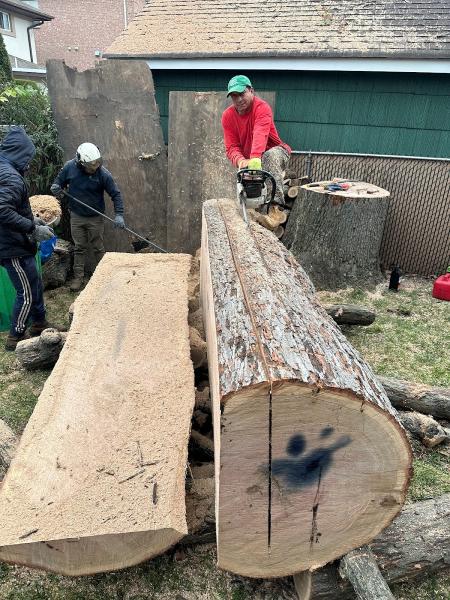 BJS Tree Service LLC
