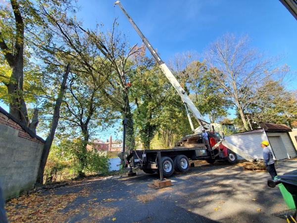BJS Tree Service LLC