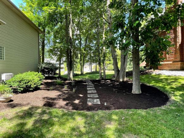 Landscape Revival