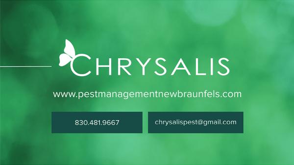 Chrysalis Pest Management