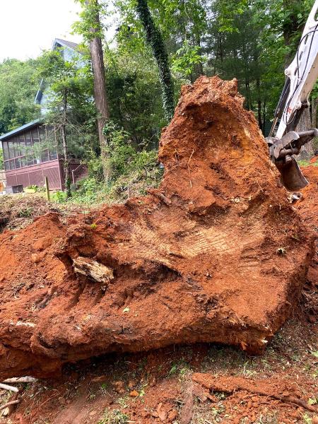 State Line Stump Grinding