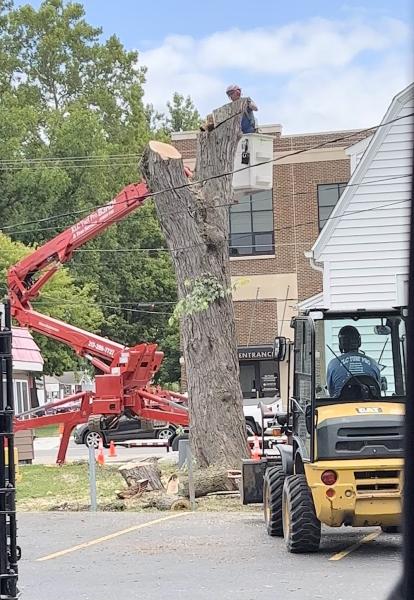 KLC Turf Pro & Tree Service