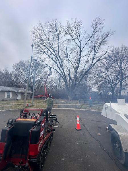 KLC Turf Pro & Tree Service