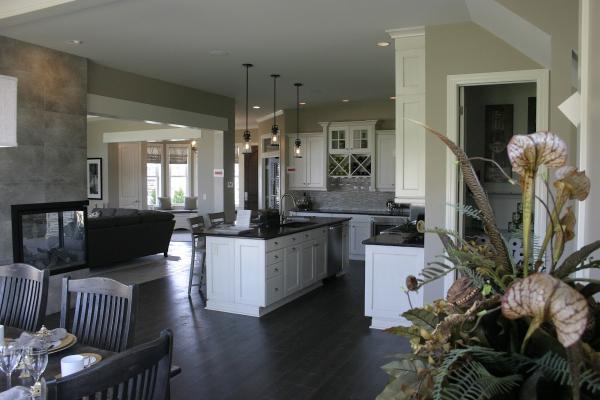 Carini Engineering Designs