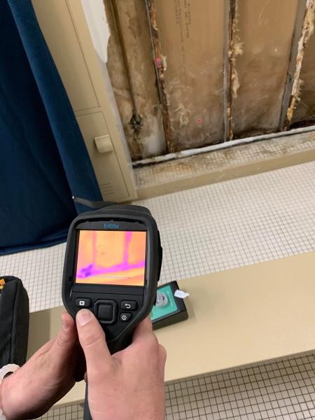Staten Island Mold Specialist