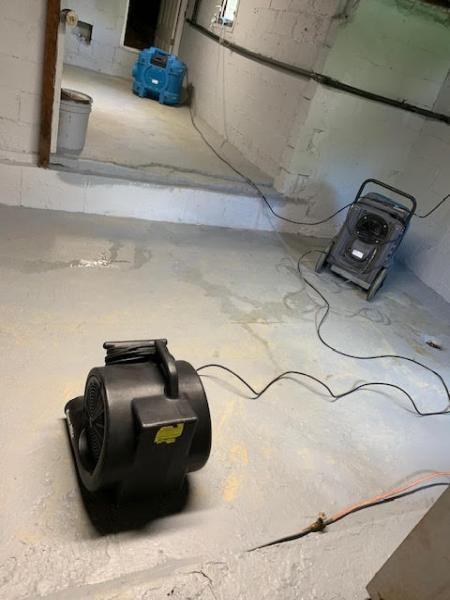 Staten Island Mold Specialist