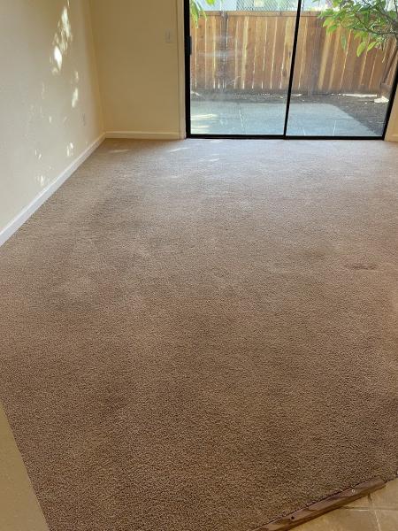 Pine Fresh Carpet Cleaning