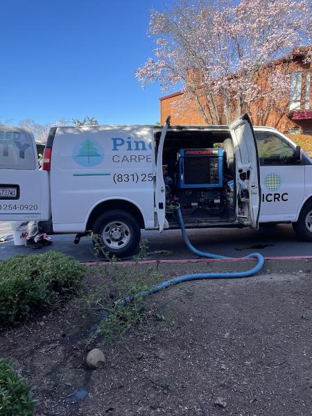 Pine Fresh Carpet Cleaning