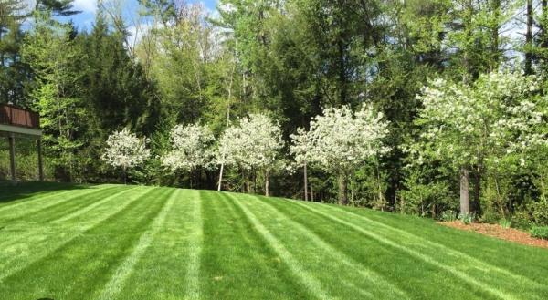Priced Rite Lawn & Tree Service