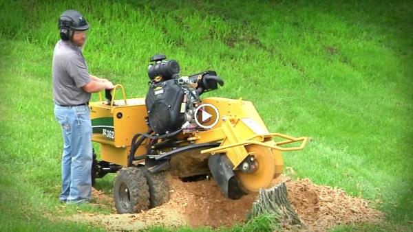 Advance Stump Removal