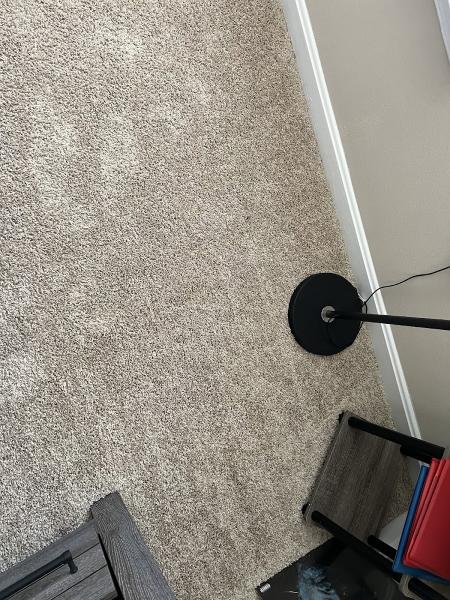 Hippo Carpet Cleaning Rockville