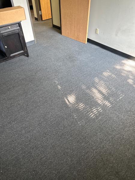 D.o.l.l.s Cleaning