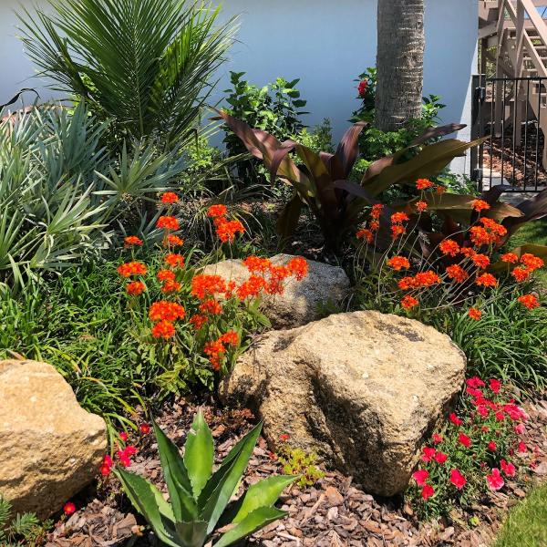 Ruah Gardens