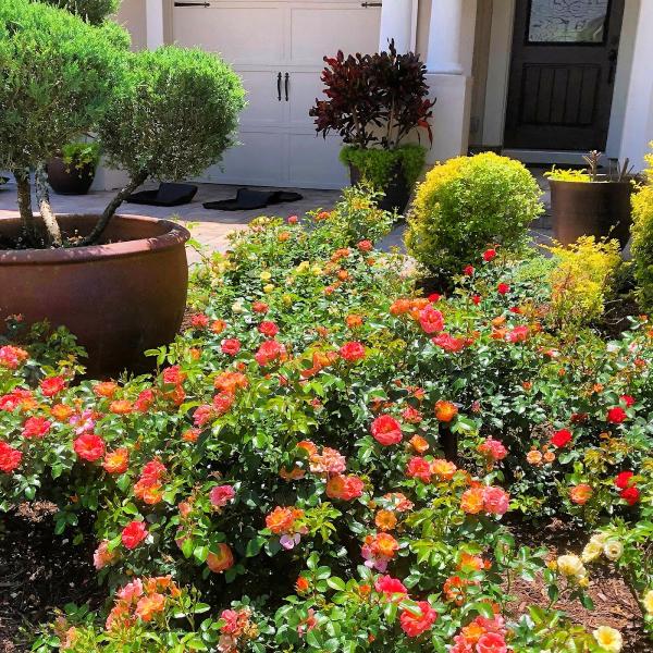 Ruah Gardens