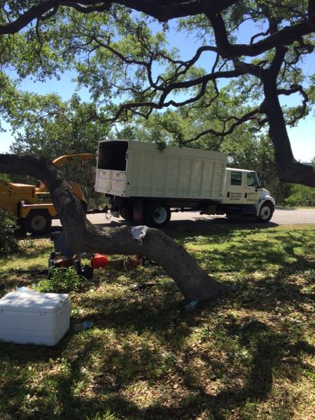 Jeffs Tree Service