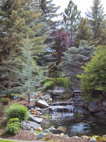 Vance Landscape & Sprinkler