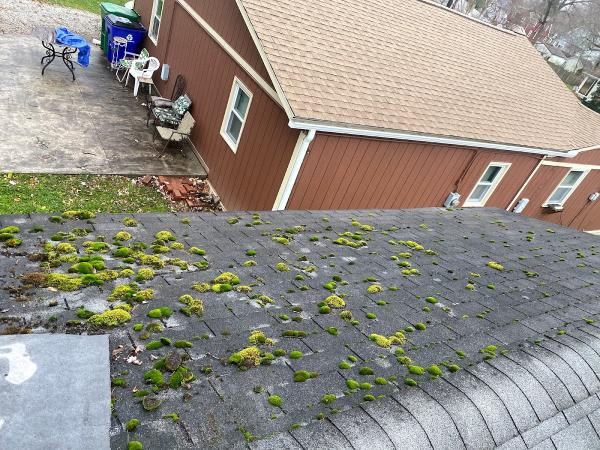 J&L Cleaner Homes Pressure Washing LLC