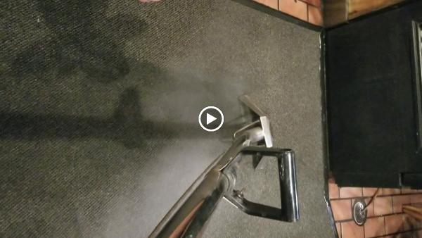 Superior Steam Cleaning & Pest Management