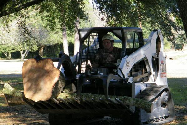 Byron Bruess Tree Services