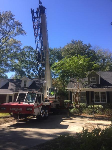 Southeastern Tree Removal