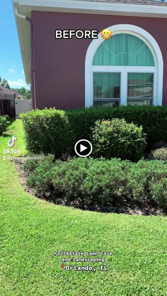 Collegiate Lawn and Landscaping