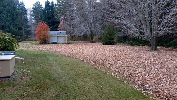 LC Property Maintenance & Landscape LLC