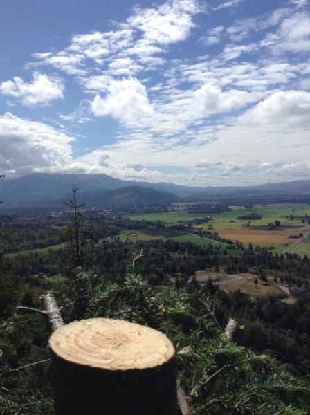 Cascade Tree Services / Rich Ternan Tree Service