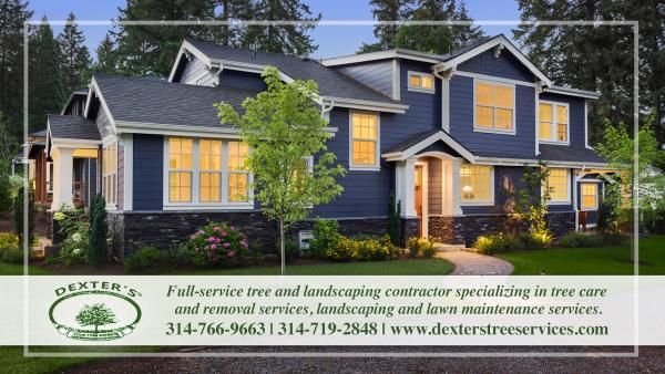 Dexter's Tree Services & Landscaping